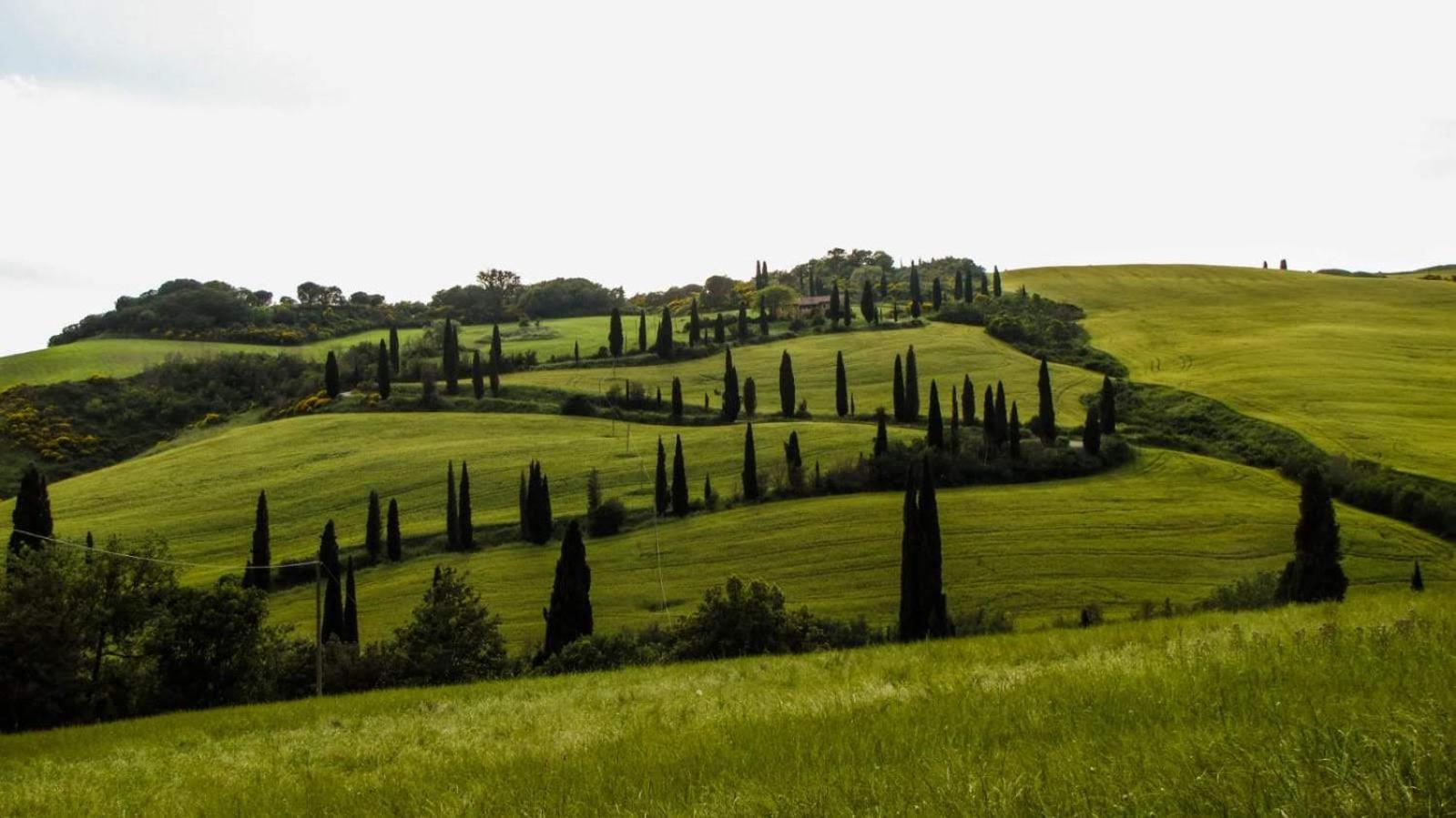 Poggio Delle Rose Tuscany Relais 基安奇安诺泰尔梅 外观 照片